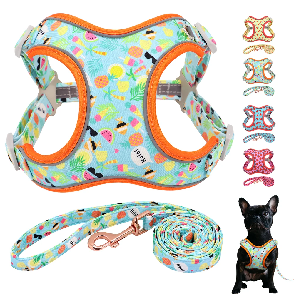Cute Dog Nylon Harness Printed Dog Vest Harness And Leash Set Mesh Pet Adjustable Vest Walking Leash For Medium Large Dogs
Cute Dog Nylon Harness Printed Dog Vest Harness And Leash Set Mesh Pet Adjustable Vest Walking Leash For Medium Large Dogs