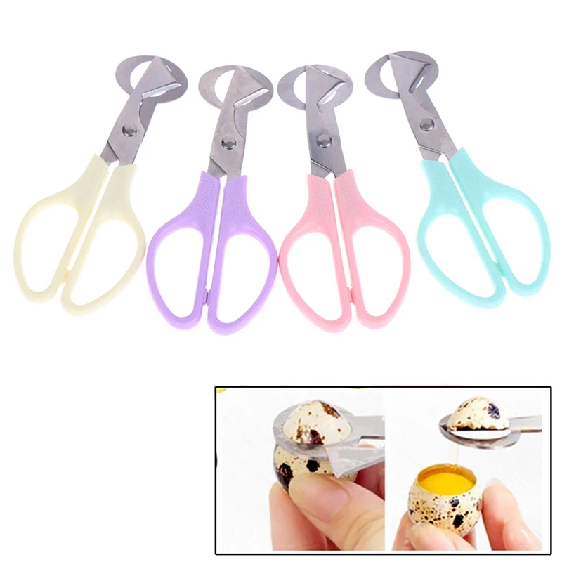 Quail Egg Scissors Bird Egg Scissors Stainless Steel Egg Cutters EggShell Cutters Egg Opener Kitchen Hand Tools Scissors
Quail Egg Scissors Bird Egg Scissors Stainless Steel Egg Cutters EggShell Cutters Egg Opener Kitchen Hand Tools Scissors