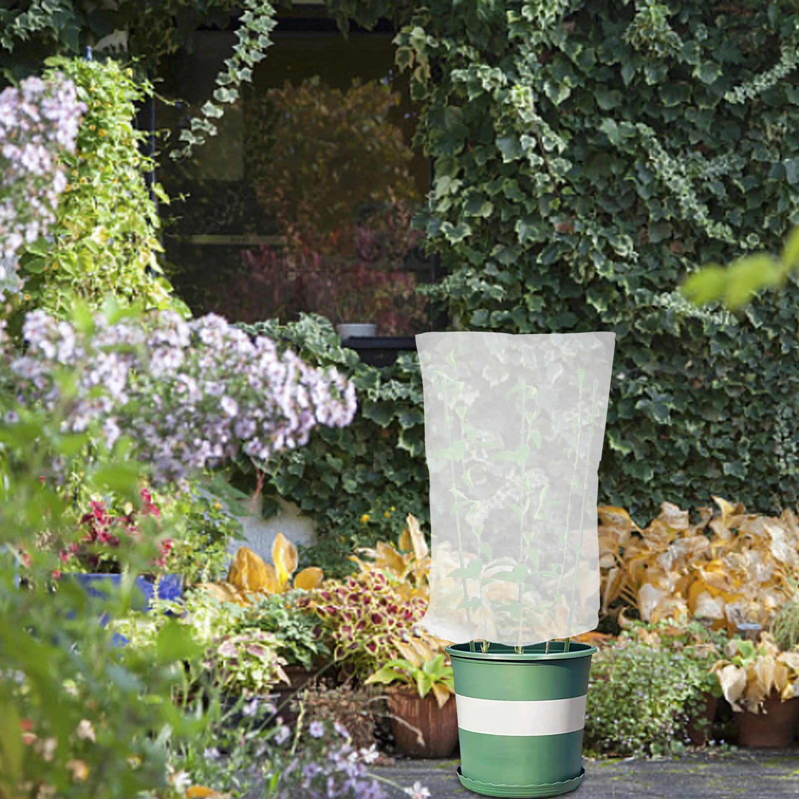 Plant Supports Metal Plant Cages Supports And Mesh Protective Plant Cover With Drawstring For Outdoor Indoor Plants Plant
Plant Supports Metal Plant Cages Supports And Mesh Protective Plant Cover With Drawstring For Outdoor Indoor Plants Plant