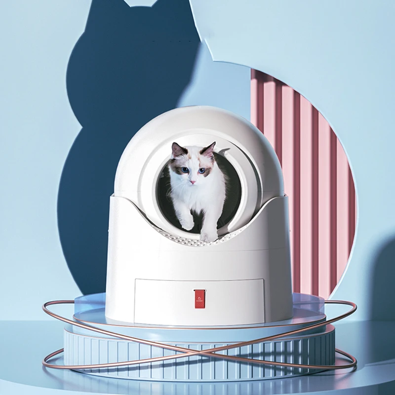 Self Cleaning Litter Box Cat Toilet Training Kit Discreet Cat Litter Box House Indoor Products Esquinero Conejo Cat SuppliesTY
Self Cleaning Litter Box Cat Toilet Training Kit Discreet Cat Litter Box House Indoor Products Esquinero Conejo Cat SuppliesTY