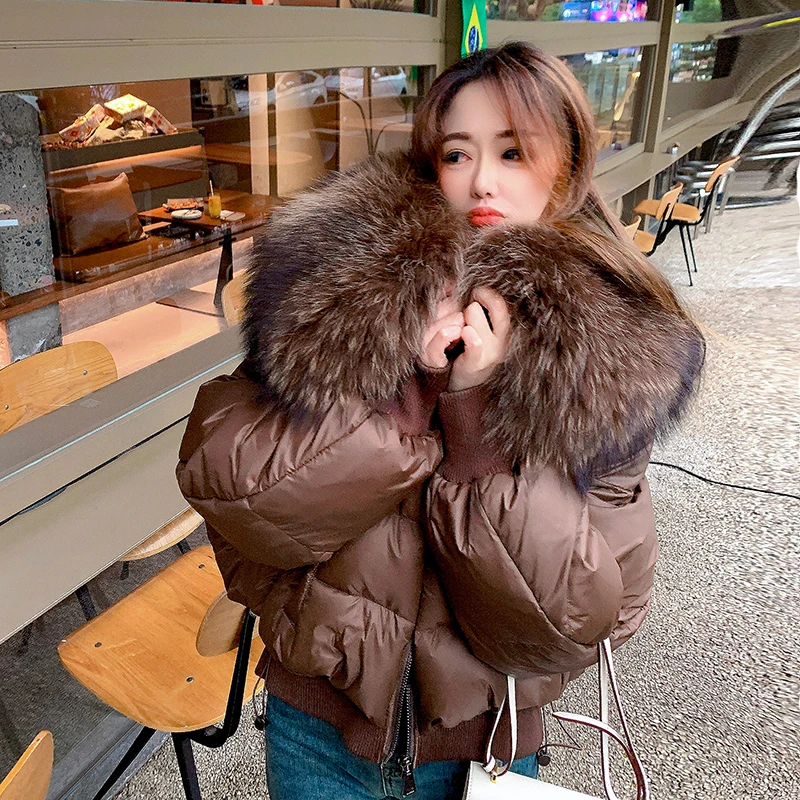 2023 New Female Jacket Fashion New Winter Real Fox Fur Collar Thick Women Warm Coat 90% White Duck Down Jacket Luxury Outwear
2023 New Female Jacket Fashion New Winter Real Fox Fur Collar Thick Women Warm Coat 90% White Duck Down Jacket Luxury Outwear