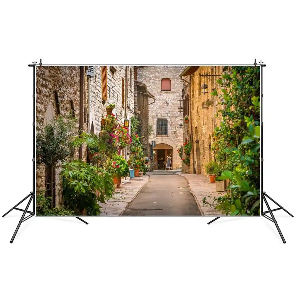 Flower Pots Pathway Street Scenic Photography Backdrops Old Town Shop View Plants Passage Home Decoration Photo Background Props
Flower Pots Pathway Street Scenic Photography Backdrops Old Town Shop View Plants Passage Home Decoration Photo Background Props