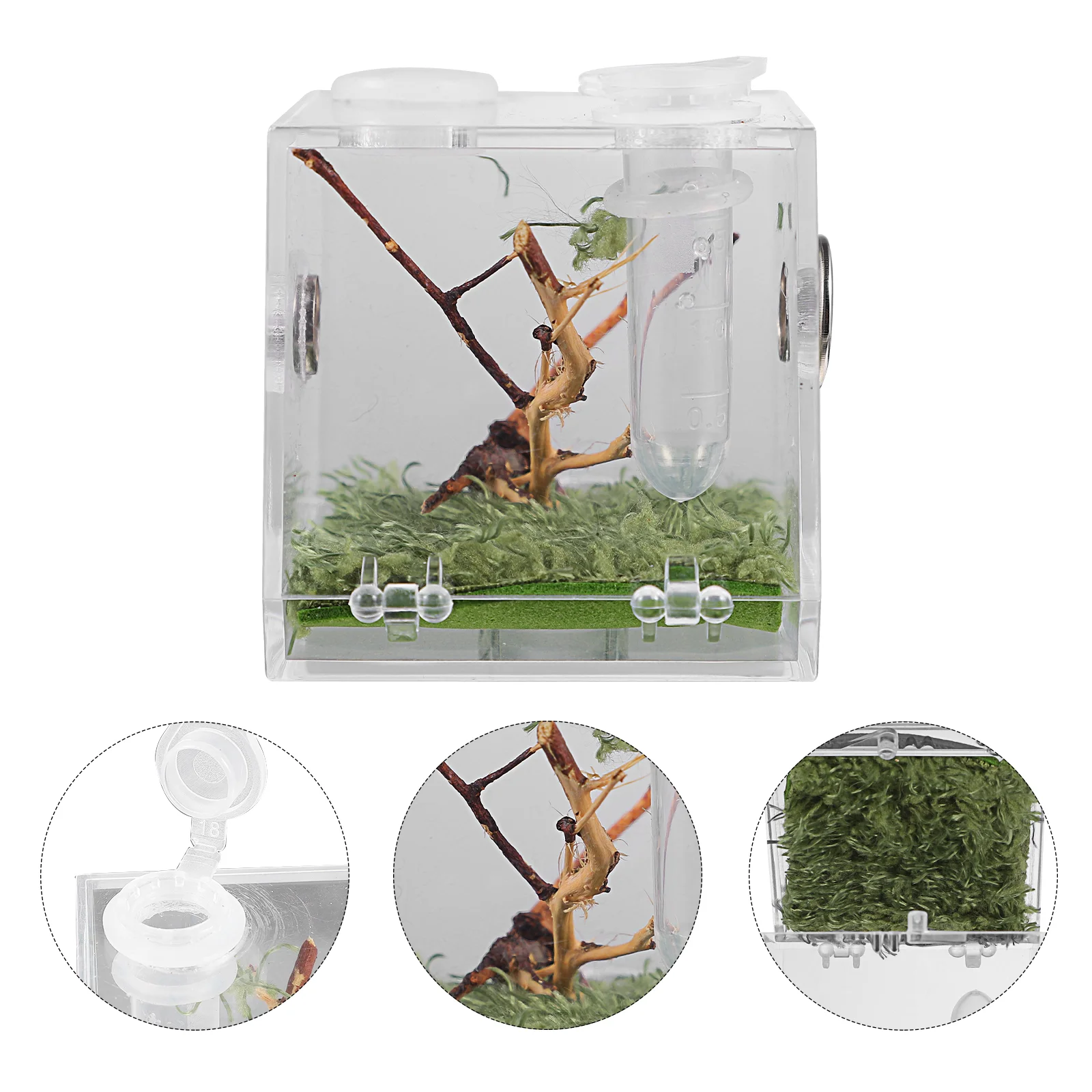 Reptile Box Terrarium Spider Breeding Enclosure Tank Cage Case Habitat Acrylic Tarantula Container Feeding Lizard Turtle Pet
Reptile Box Terrarium Spider Breeding Enclosure Tank Cage Case Habitat Acrylic Tarantula Container Feeding Lizard Turtle Pet