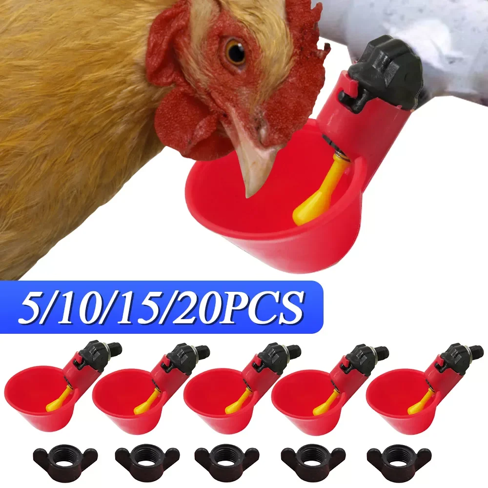 Nipple Water Cup Quail Hanging Drinking Bowl automatic Bird Water Drinker Cup for Backyard Chicken Flock Poultry Waterer
Nipple Water Cup Quail Hanging Drinking Bowl automatic Bird Water Drinker Cup for Backyard Chicken Flock Poultry Waterer