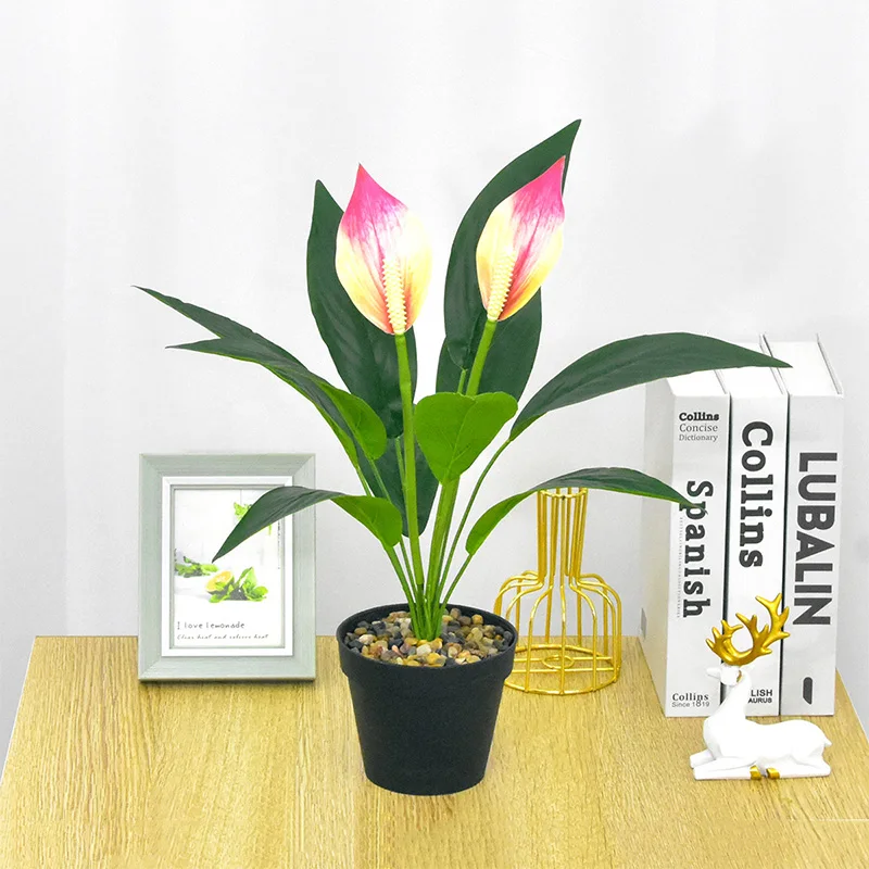 Bract Leaved Taro Flowers Blossoms Artificial Plant Green plant Fake Flowers Pot Flores Tree Branches Home Room Decoration
Bract Leaved Taro Flowers Blossoms Artificial Plant Green plant Fake Flowers Pot Flores Tree Branches Home Room Decoration