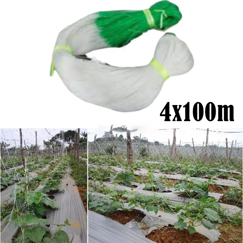 Climbing Rattan Net Garden Melon And Fruit 4M X 100M Cucumber Net Netting Jaring Timun Plant Support Net Plant Climbing
Climbing Rattan Net Garden Melon And Fruit 4M X 100M Cucumber Net Netting Jaring Timun Plant Support Net Plant Climbing