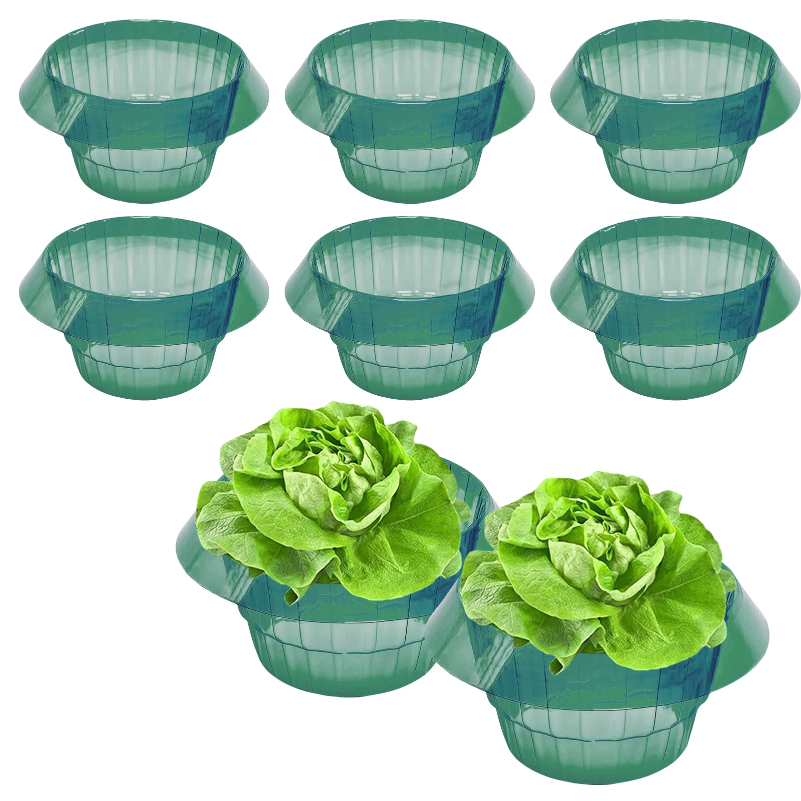 Plant Salad Rings Snail Collar Plant Protection Snail Protection Ring Snail Fence Effective Snail Protection For Plants Cabbage
Plant Salad Rings Snail Collar Plant Protection Snail Protection Ring Snail Fence Effective Snail Protection For Plants Cabbage