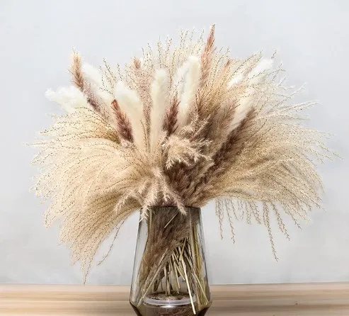 Natural Dried Pampa Grass Bouquet,Boho Home Decor Bouquet, Phragmites Dried Flowers,Bouquet For Wedding Ramadan Decoration
Natural Dried Pampa Grass Bouquet,Boho Home Decor Bouquet, Phragmites Dried Flowers,Bouquet For Wedding Ramadan Decoration