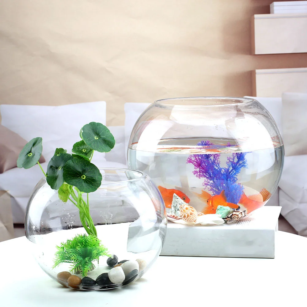 Terrarium Bowl Vase Round Flower Tank Goldfish Planter Clear Bowls Container Bubble Aquarium Hydroponic Betta Succulent Vases
Terrarium Bowl Vase Round Flower Tank Goldfish Planter Clear Bowls Container Bubble Aquarium Hydroponic Betta Succulent Vases