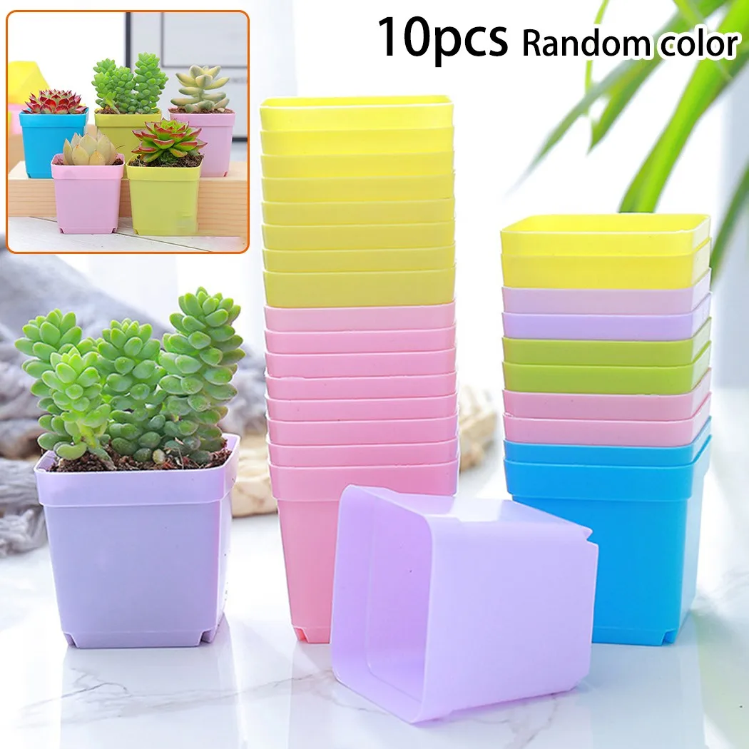 10pcs Mini Basin Square Flower Pot Succulent Plant Trays Color Mixing Home Office Decor DIY Garden Supplies Garden Home Decor
10pcs Mini Basin Square Flower Pot Succulent Plant Trays Color Mixing Home Office Decor DIY Garden Supplies Garden Home Decor