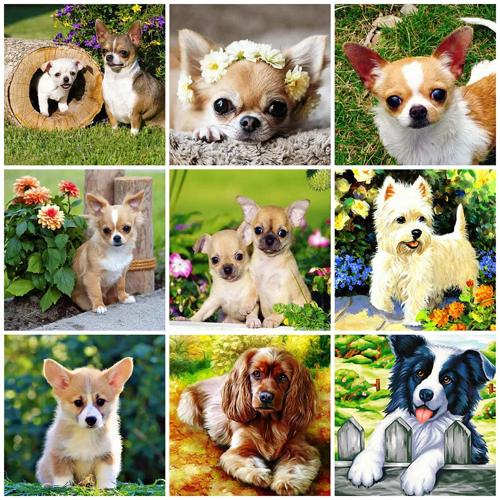 MomoArt Алмазная живопись собаки рукоделие декор для дома Алмазная вышивка животные картина стразами полная площадь Алмазная мозаика мультфи... 
MomoArt Алмазная живопись собаки рукоделие декор для дома Алмазная вышивка животные картина стразами полная площадь Алмазная мозаика мультфи...