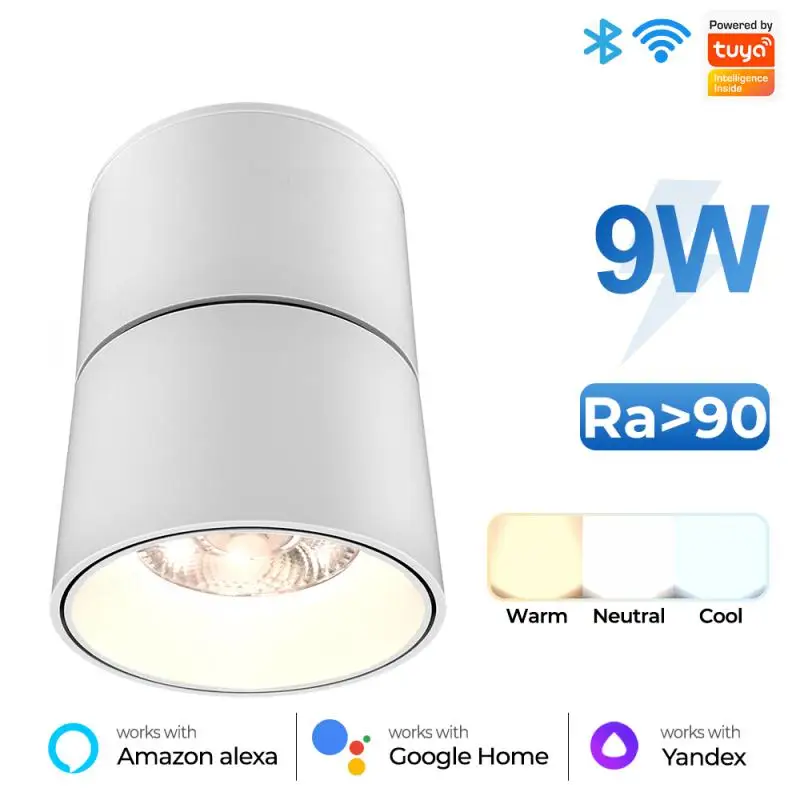 High Quality Intelligent Rotating Ceiling Spotlight Adjustable Color Temperature Top Lamp With Shade Fixed To The Ceiling
High Quality Intelligent Rotating Ceiling Spotlight Adjustable Color Temperature Top Lamp With Shade Fixed To The Ceiling