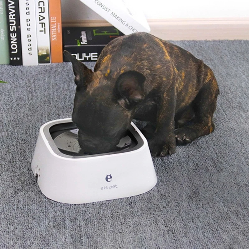 Pet Dishes Bowls Spill Proof for Kitten Small Dogs Food Water Bowl Feeder Anti-Slip Easy to Clean Pet Water Dispens D0LD
Pet Dishes Bowls Spill Proof for Kitten Small Dogs Food Water Bowl Feeder Anti-Slip Easy to Clean Pet Water Dispens D0LD