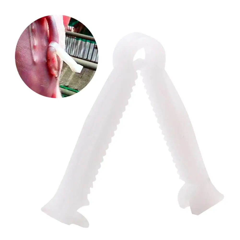 100pcs/pack Disposable Umbilical Cord Clamps Prevent Umbilical Cord Bleeding For Piglets
100pcs/pack Disposable Umbilical Cord Clamps Prevent Umbilical Cord Bleeding For Piglets