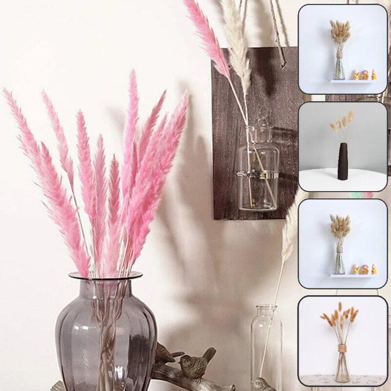 10/15/20/25/30 Pcs Artificial Pampas Grass Dry Flower Natural Dried Flowers Real Plants Home Wedding Flowers Decoration For Vase
10/15/20/25/30 Pcs Artificial Pampas Grass Dry Flower Natural Dried Flowers Real Plants Home Wedding Flowers Decoration For Vase