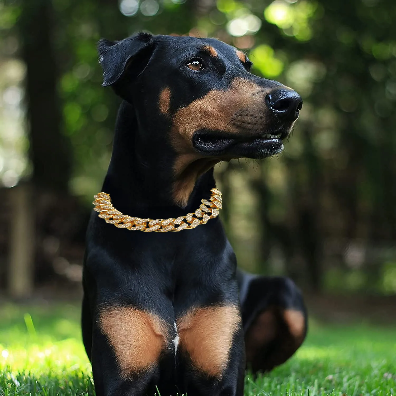 Strass Halsband Luxe Hond Collarpet Hond Massa Rap Hip Hop Cubaanse Ketting Grote Gouden Ketting Pechera Para Perro Hond levert
Strass Halsband Luxe Hond Collarpet Hond Massa Rap Hip Hop Cubaanse Ketting Grote Gouden Ketting Pechera Para Perro Hond levert