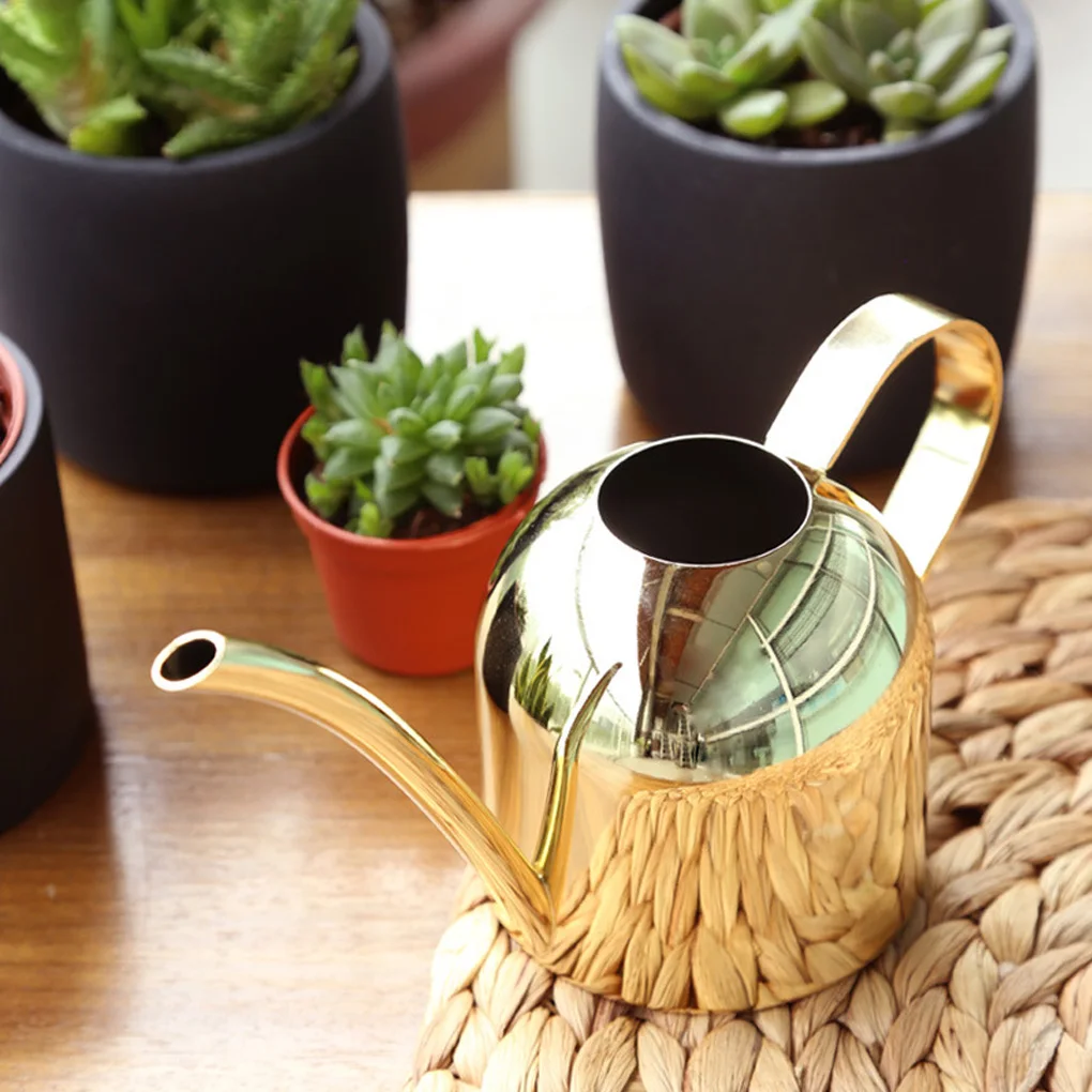 Long Mouth Water Can Stainless Steel Watering Pot Garden Flower Plants Watering Cans 500ML /1000ML Meaty Bonsai Garden Tool
Long Mouth Water Can Stainless Steel Watering Pot Garden Flower Plants Watering Cans 500ML /1000ML Meaty Bonsai Garden Tool
