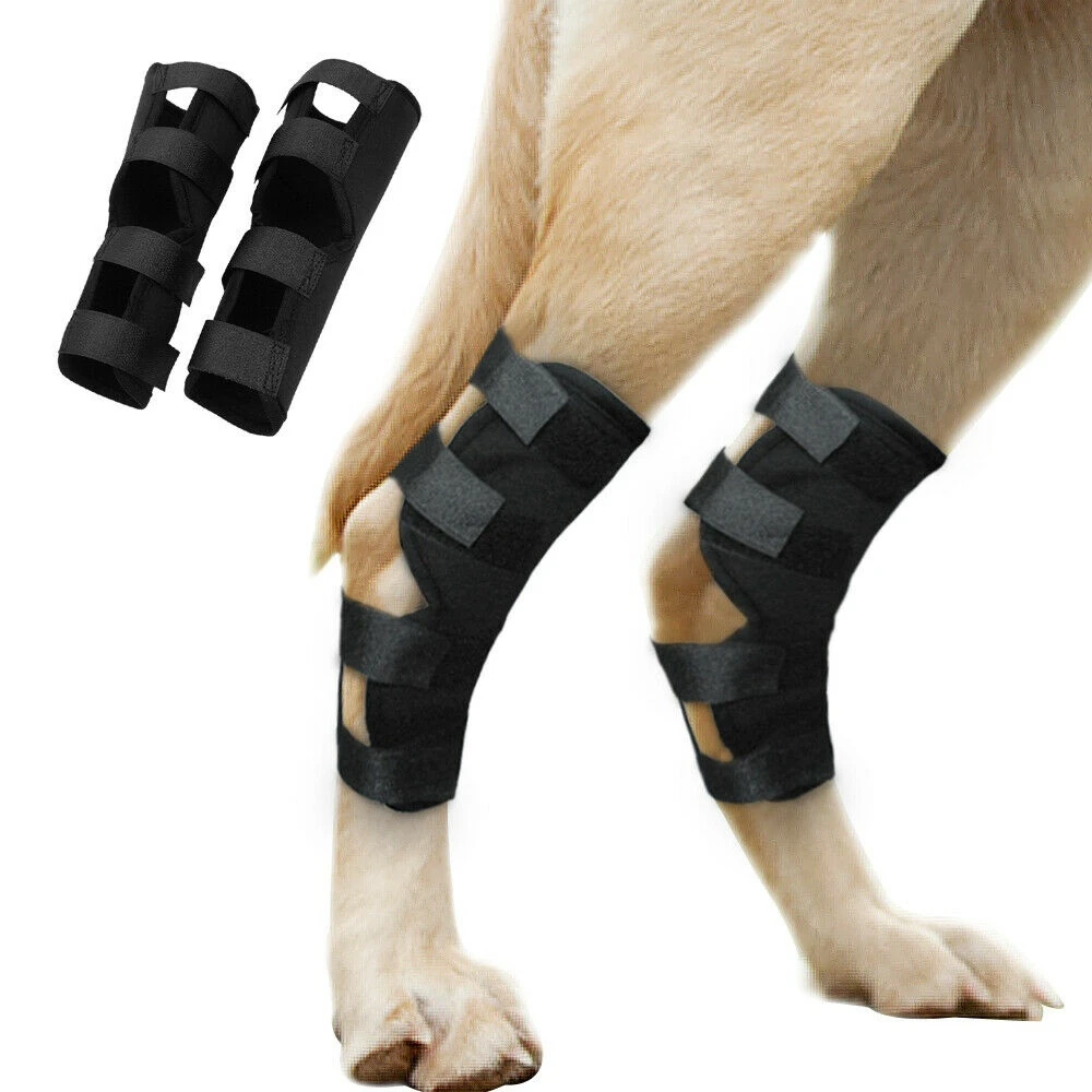 

Injury Wrap Protector Dog Support Brace Dog Legs Protector Dog Supplies Dog Wrist Guard Pet Knee Pads Puppy Kneepad