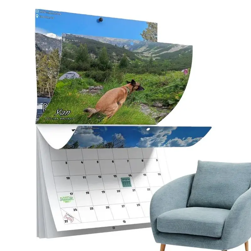 Забавный настенный календарь, настенный календарь для розыгрыша, глянцевая бумага 2024, Юмористические подарки на день рождения, годовщины и Рождество 
Забавный настенный календарь, настенный календарь для розыгрыша, глянцевая бумага 2024, Юмористические подарки на день рождения, годовщины и Рождество