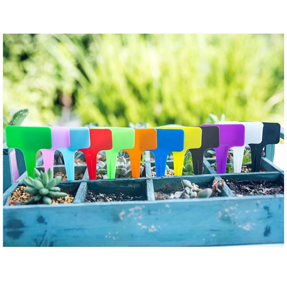 50pcs Plant Labels Plastic T-shape Plant Stick Labels Markers Nursery Garden Labels Stick Sign Vegetables Plantings Label Tags
50pcs Plant Labels Plastic T-shape Plant Stick Labels Markers Nursery Garden Labels Stick Sign Vegetables Plantings Label Tags
