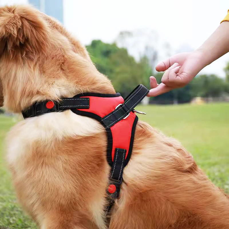 Blue Dog Harness Collar Reflective Small Medium Large Big Dogs Chest Strap Adjustable K9 Outdoor Training Pet Vest with Handle
Blue Dog Harness Collar Reflective Small Medium Large Big Dogs Chest Strap Adjustable K9 Outdoor Training Pet Vest with Handle