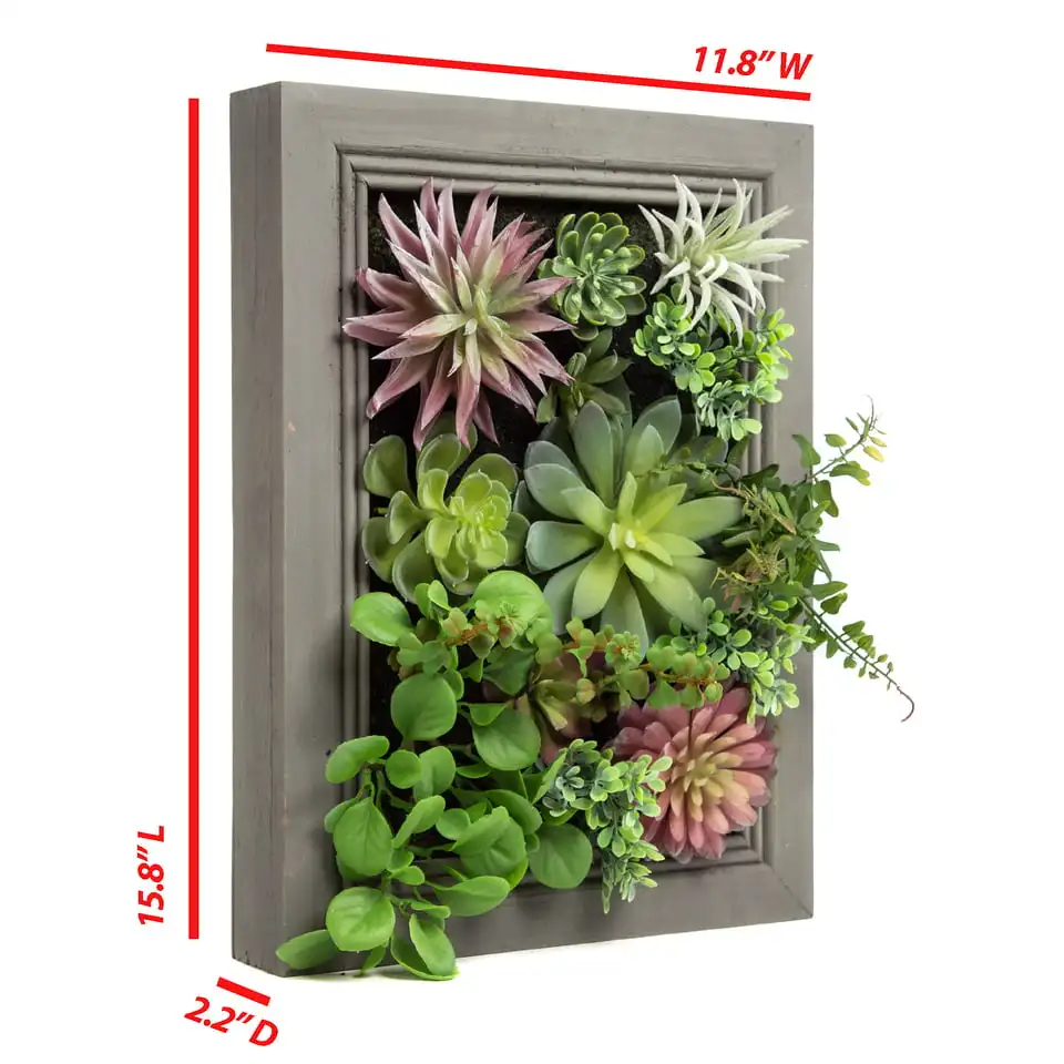 Free shipping 3D Hanging Wall Artificial Plants Succulent Plants Wall Hanging Plants with Rectangle Wooden Frames
Free shipping 3D Hanging Wall Artificial Plants Succulent Plants Wall Hanging Plants with Rectangle Wooden Frames