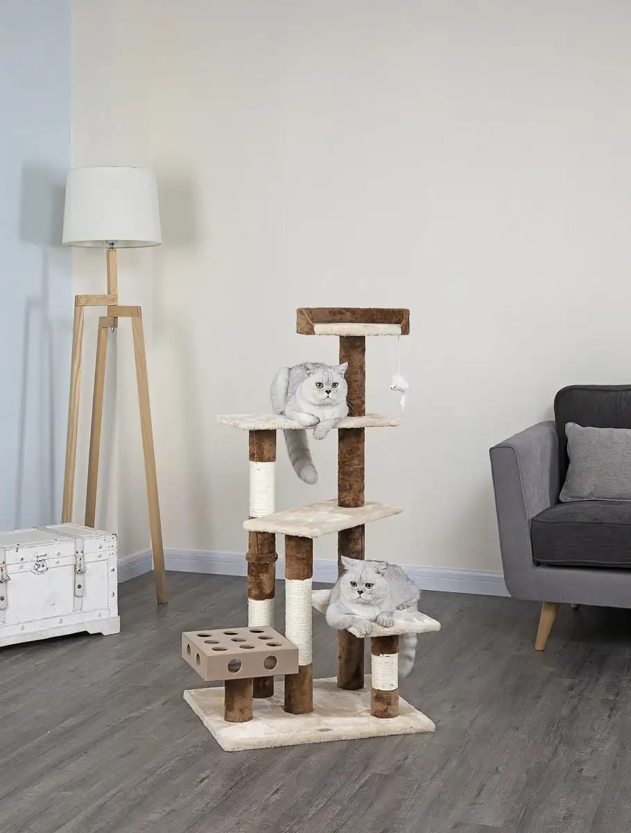 Pet Club 45-in кошачье дерево и Когтеточка башня, бежевые игрушки Аксессуары для домашних животных
Pet Club 45-in кошачье дерево и Когтеточка башня, бежевые игрушки Аксессуары для домашних животных