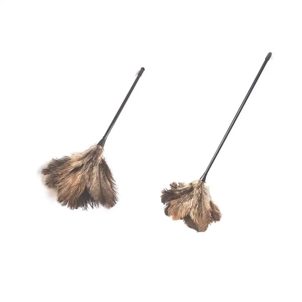 Ручная метла для удаления пыли и перьев, ручной инструмент для удаления пыли в шкаф, вешалка серого и черного цветов, 48 см
Ручная метла для удаления пыли и перьев, ручной инструмент для удаления пыли в шкаф, вешалка серого и черного цветов, 48 см