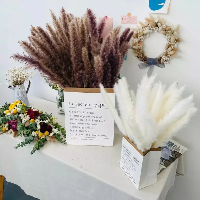 30Pcs Pampas Grass Decor Fluffy Small Reeds Bouquet Pampas Decoration Boho Living Room Decoration Dried Flowers Home Decor
30Pcs Pampas Grass Decor Fluffy Small Reeds Bouquet Pampas Decoration Boho Living Room Decoration Dried Flowers Home Decor