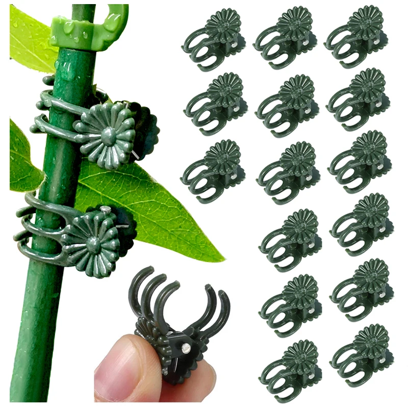 Orchid Stem Clip Plant Support Dark Green Plant Clips Vine Stem Flower Grow Upright Branch Clamp Garden Tool plant clips
Orchid Stem Clip Plant Support Dark Green Plant Clips Vine Stem Flower Grow Upright Branch Clamp Garden Tool plant clips