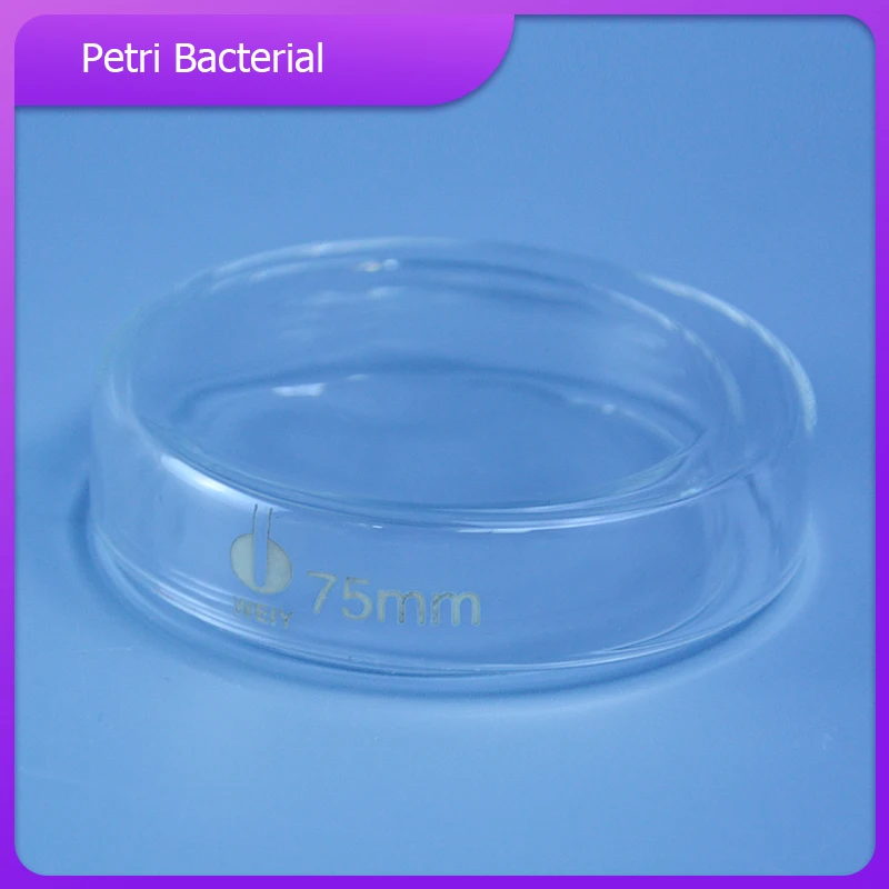 60/75/90/120/150mm Borosilicate Glass Petri Dish Bacteria Culture Dish Laboratory Supplies
60/75/90/120/150mm Borosilicate Glass Petri Dish Bacteria Culture Dish Laboratory Supplies