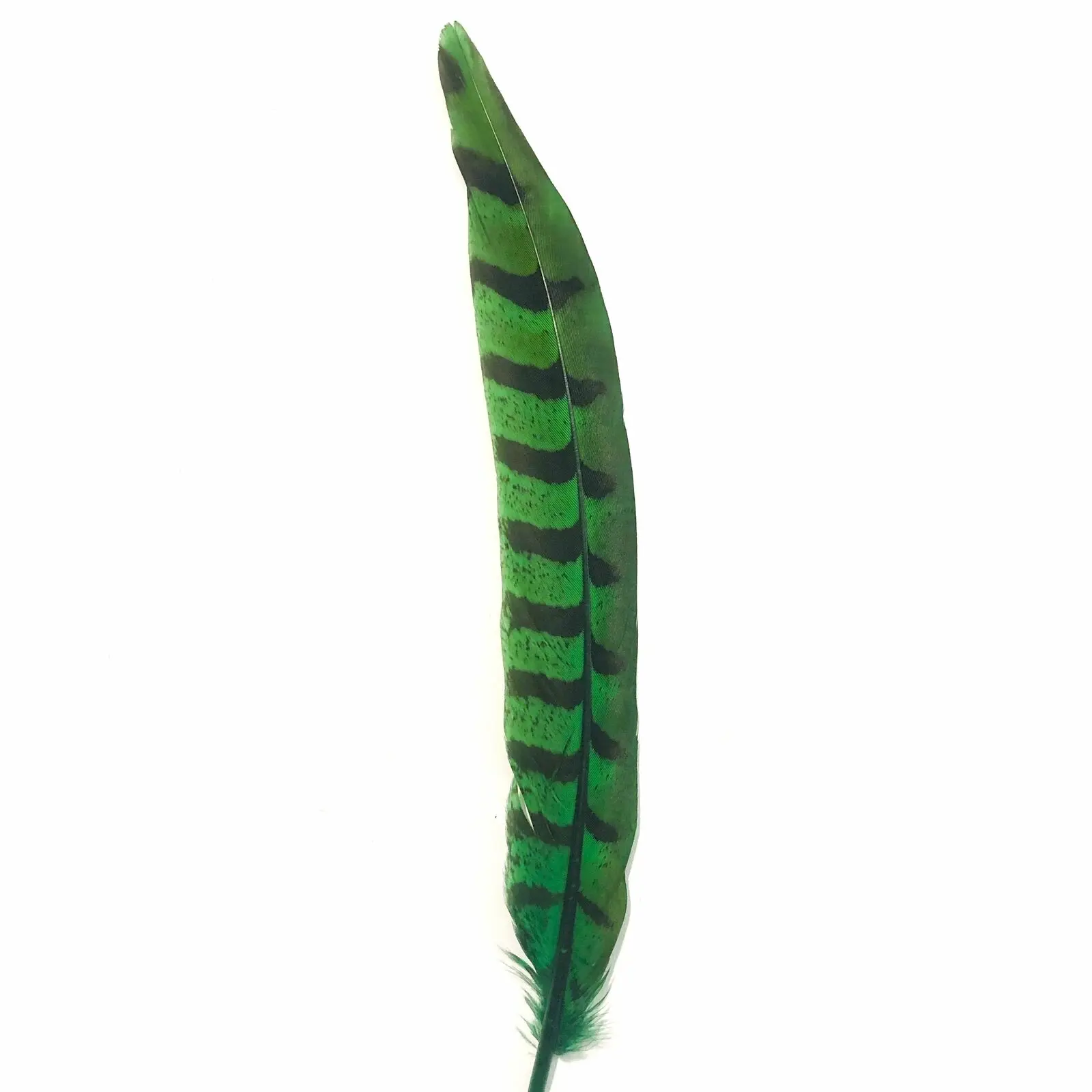 50PCS Dyed Green Lady Amherst Pheasant Feathers for Crafts Reeves Venery Feather Carnival Plumes Decoration Performance Props
50PCS Dyed Green Lady Amherst Pheasant Feathers for Crafts Reeves Venery Feather Carnival Plumes Decoration Performance Props