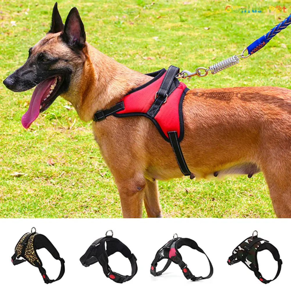 Medium Large Dog Harness With Leash Reflective Collar Vest Explosion Proof Portable Stain Resistant Harnesses For Dogs Training
Medium Large Dog Harness With Leash Reflective Collar Vest Explosion Proof Portable Stain Resistant Harnesses For Dogs Training