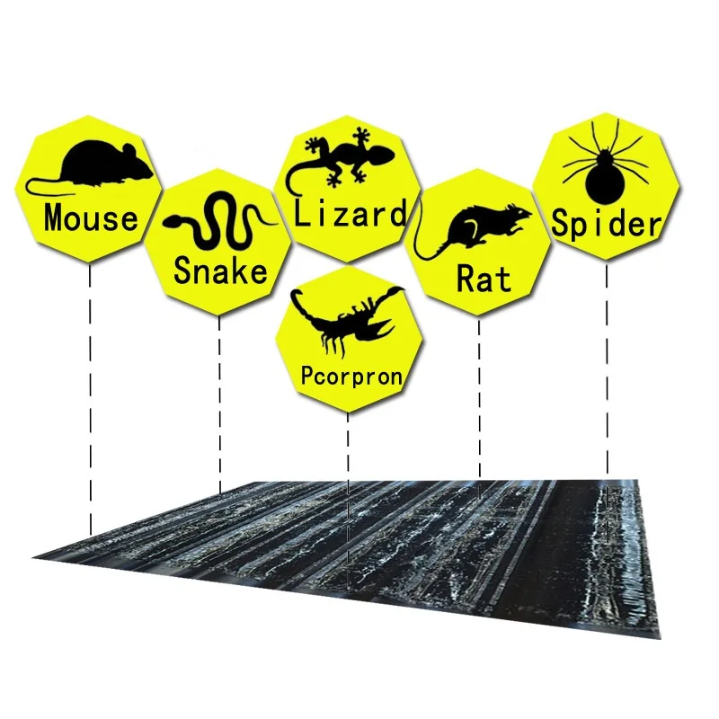 1.2M Sticky Mice Glue Trap Catcher Pest Control Non-Toxic Eco-Friendly High Effective Rodent Rat Bugs Killer
1.2M Sticky Mice Glue Trap Catcher Pest Control Non-Toxic Eco-Friendly High Effective Rodent Rat Bugs Killer
