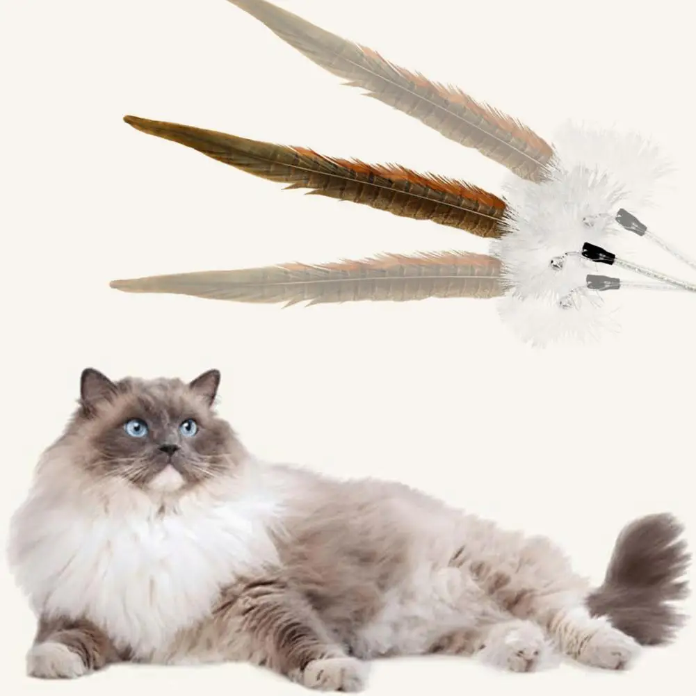 Прочная кошачья палочка, игрушка, легкий Кот, перо, игрушка, животное, кошка, игрушка для снятия стресса
Прочная кошачья палочка, игрушка, легкий Кот, перо, игрушка, животное, кошка, игрушка для снятия стресса