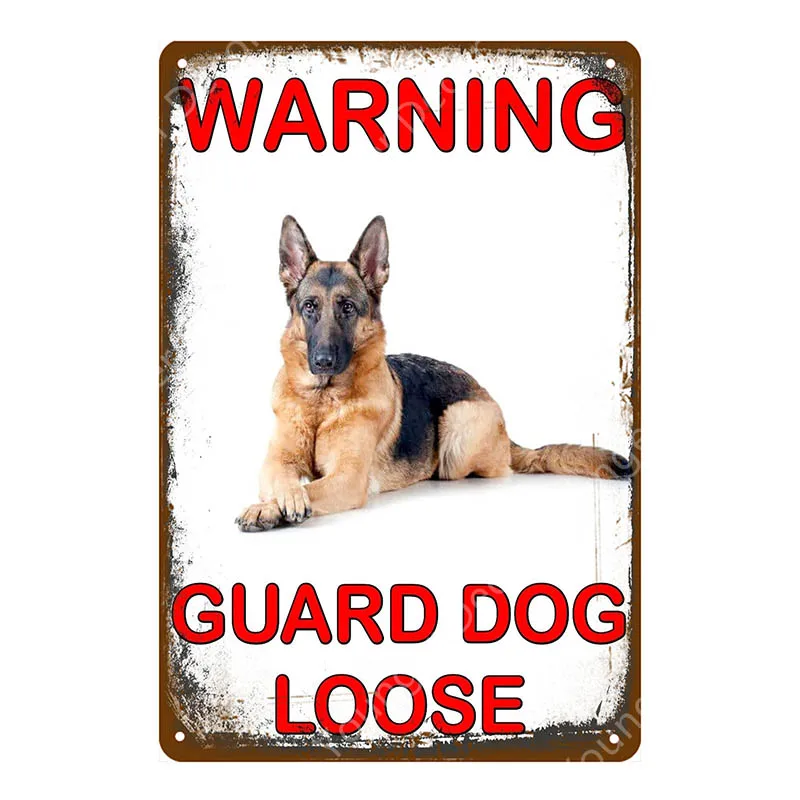 Beware Cat Dogs Metal Tin Signs Dog Guard Warning Loose Wall Plaques Bar Kitchen Home Art Craft Decor Man Cave Poster
Beware Cat Dogs Metal Tin Signs Dog Guard Warning Loose Wall Plaques Bar Kitchen Home Art Craft Decor Man Cave Poster