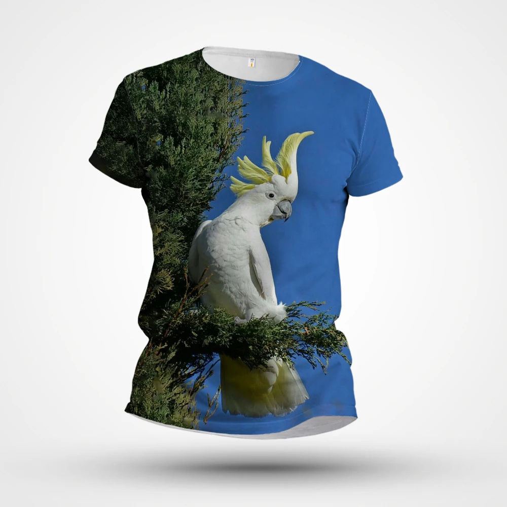 2023 New Men's T-shirt 3D Printing Customized Short Sleeve Summer Personalized Parrot Pattern
2023 New Men's T-shirt 3D Printing Customized Short Sleeve Summer Personalized Parrot Pattern