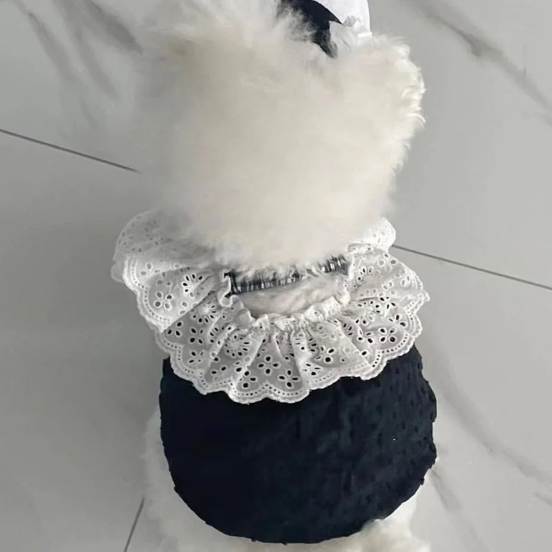 Lace Dress Pet Clothing Dogs Suspenders Fashion for Dog Clothes Costume Small French Bulldog Cute Summer Black Girl Boy Mascotas
Lace Dress Pet Clothing Dogs Suspenders Fashion for Dog Clothes Costume Small French Bulldog Cute Summer Black Girl Boy Mascotas