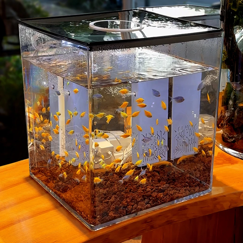 Square Fish Tank Filter Circulating Water Pump Full Set Living Room Home Super White Desktop Landscape Turtle Pc Small Aquarium
Square Fish Tank Filter Circulating Water Pump Full Set Living Room Home Super White Desktop Landscape Turtle Pc Small Aquarium