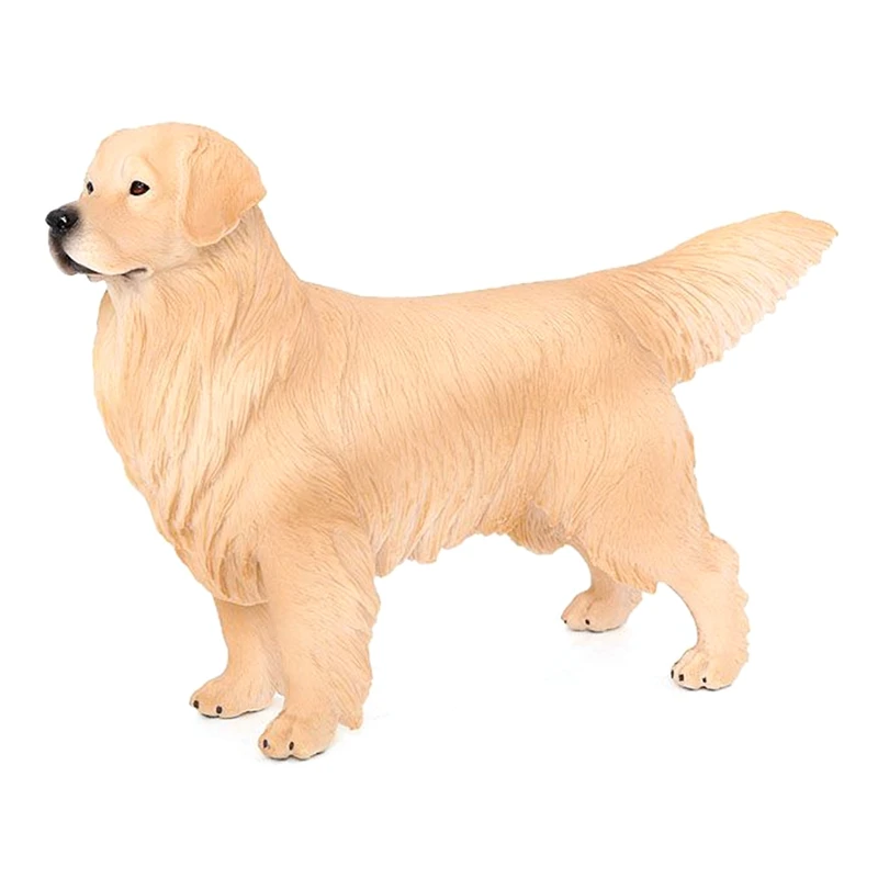 Simulation Animal Dog Model Big Golden Retriever Pet Dog Science Education Models Childrens Gift Toys
Simulation Animal Dog Model Big Golden Retriever Pet Dog Science Education Models Childrens Gift Toys