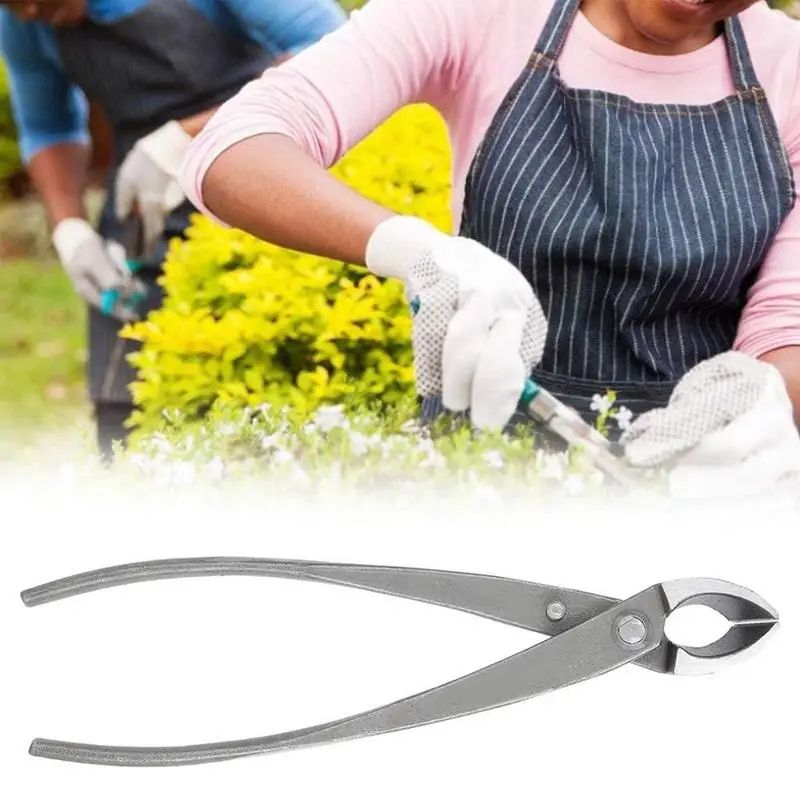Bonsai Scissors multipurpose Tree Limb Cutter 8 Inch Stainless Steel Knob Cutter Pruning Shears for Deadheading garden tools
Bonsai Scissors multipurpose Tree Limb Cutter 8 Inch Stainless Steel Knob Cutter Pruning Shears for Deadheading garden tools
