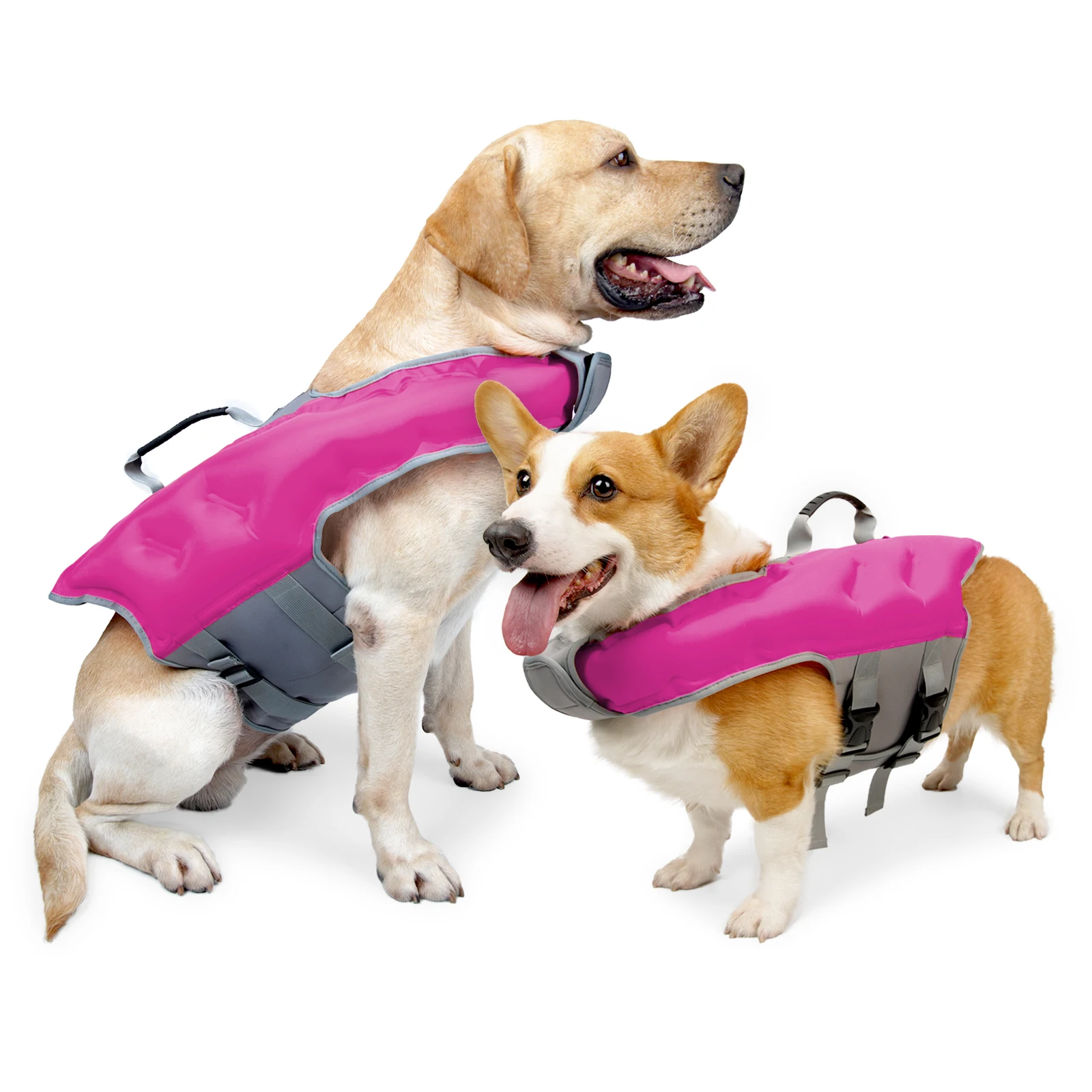 Fashion Summer Dog Life Jacket Dog Swimming Suit Can Be Inflated Medium and Large Dog Swimming Pet Supplies for Corgi Teddy
Fashion Summer Dog Life Jacket Dog Swimming Suit Can Be Inflated Medium and Large Dog Swimming Pet Supplies for Corgi Teddy