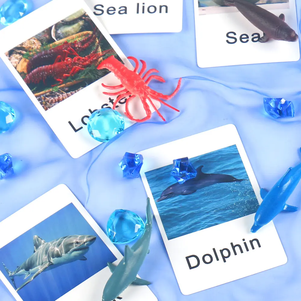 Animal Matching Cards Sensory Bin Children Toys Early Learning Aids Educational Preschool Training Toys For Children C2578F
Animal Matching Cards Sensory Bin Children Toys Early Learning Aids Educational Preschool Training Toys For Children C2578F