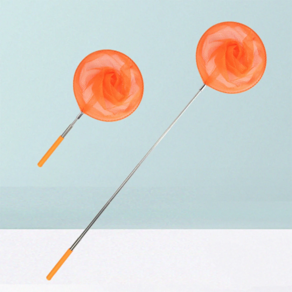 Retractable Butterfly Net Set Insect Catching Net For Catching Insects And Small Fish Caterpillars Outdoor Tool
Retractable Butterfly Net Set Insect Catching Net For Catching Insects And Small Fish Caterpillars Outdoor Tool