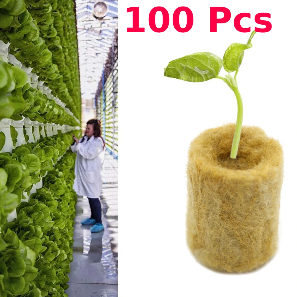 100 шт., губки для выращивания растений 
100 шт., губки для выращивания растений