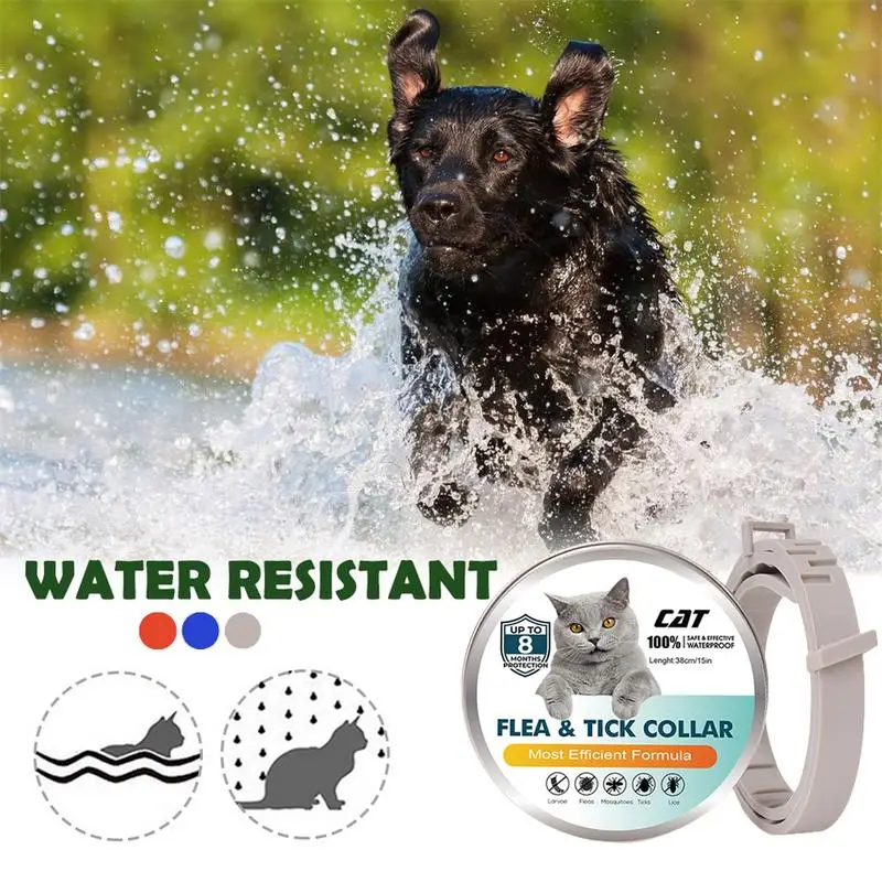 38m Adjustable Pet Collar Cat Dog AntiFlea Collar Anti Flea Tick Louse Collar Pet Protect Repel Rubber Necklace Pet Supply
38m Adjustable Pet Collar Cat Dog AntiFlea Collar Anti Flea Tick Louse Collar Pet Protect Repel Rubber Necklace Pet Supply