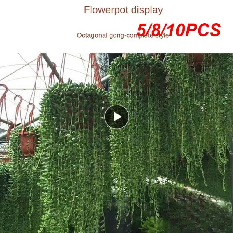 5/8/10PCS Indoor And Outdoor Plastic Flowerpot With Hook Planter Garden Plant Hanging Basket Household 2023 Multifunctional
5/8/10PCS Indoor And Outdoor Plastic Flowerpot With Hook Planter Garden Plant Hanging Basket Household 2023 Multifunctional