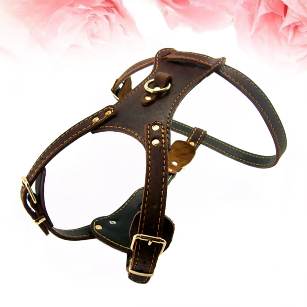 Простое Ожерелье для собак, трос для перевозки щенков, веревочный ошейник с большим ремешком
Простое Ожерелье для собак, трос для перевозки щенков, веревочный ошейник с большим ремешком