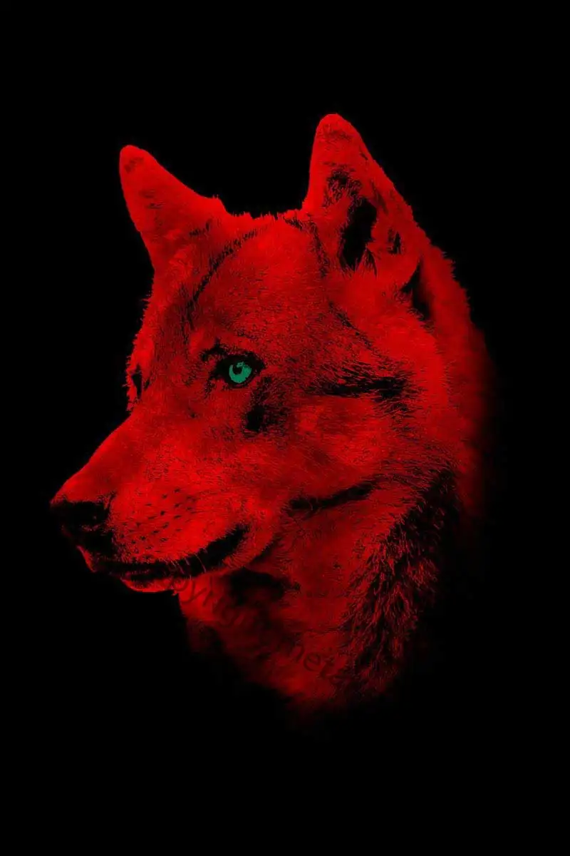 Декор комнаты Red Wolf, ретро, винтажные металлические вывески, Настенный декор, неоновая вывеска для мужчин, пещера, кафе, паб, дома, клуба, без с...
Декор комнаты Red Wolf, ретро, винтажные металлические вывески, Настенный декор, неоновая вывеска для мужчин, пещера, кафе, паб, дома, клуба, без с...
