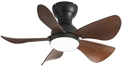 Fan with Lights Remote Control,29 lnch Small Ceiling Fan Flush Mount, 5 Reversible Blades, Low Profile Ceiling Fan Light with 6
Fan with Lights Remote Control,29 lnch Small Ceiling Fan Flush Mount, 5 Reversible Blades, Low Profile Ceiling Fan Light with 6
